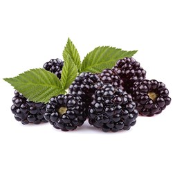 Blackberries 1kg IQF BIL 