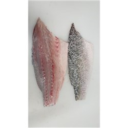 Fresh Barramundi Fillets Skin On 