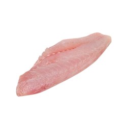 Fresh Crimson Snapper Fillets Skin Off 