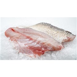 Barramundi Fillets 200/300 5kg  