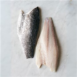 Frozen Barramundi Fillets Skin On  