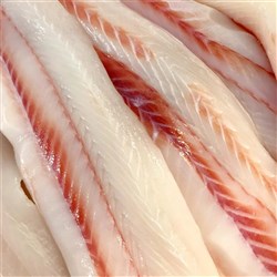 Gummy Shark Fillet 10kg 