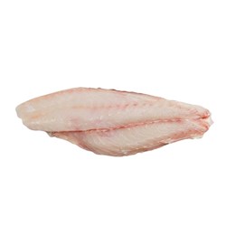 Fresh Ruby Snapper Fillets Skin Off 