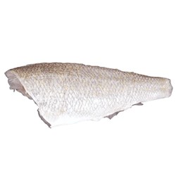 Fresh Goldband Snapper Fillets Skin On 