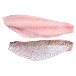Fresh Golden Snapper Fillets Sk/Off 
