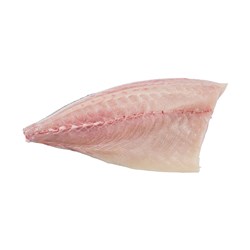 Frozen Kingfish Fillets 