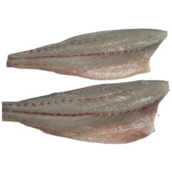 Fresh Mulloway Fillets Skin Off 