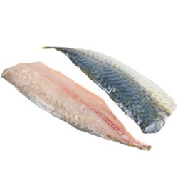 Frozen Mackerel Spanish Fillet Skin On R/W Local