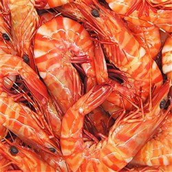 Prawn Whole Cooked Tiger 6/8 5kg 