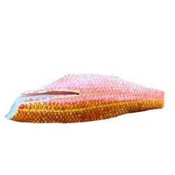 Fresh Ruby Snapper Fillet Skin On 