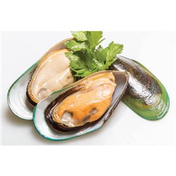Mussel Greenlip 1/2 Shell NZ 1kg 