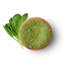 Spinach Powder 20kg 