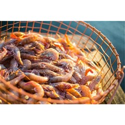 Prawn Whole Raw Coral 5kg 