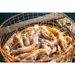 Prawn Whole Raw King 11/15 5kg 