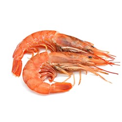 Prawn Whole Cooked Tiger 16/20 3kg  Queensland