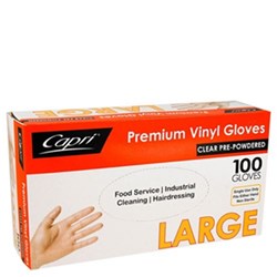 Gloves Large Clear 100/pkt Powdered