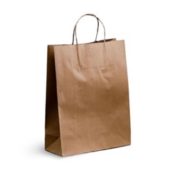 Bag Paper Brown Handle 250/ctn 260x110x350mm