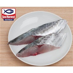 Mackerel Spanish Fillets 10kg 