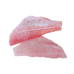 Fresh Crimson Snapper Fillets Skin On 