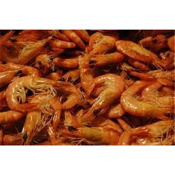Prawn Whole Raw King 10/15 5kg 