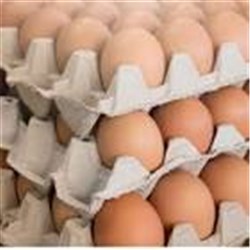Eggs Fresh 59g 700g 15 Doz  