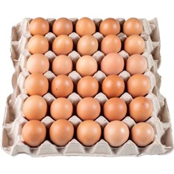 Eggs Caterers 59g 15doz 10.6kg 