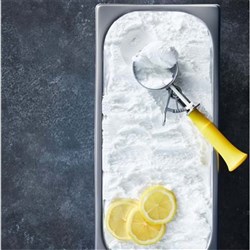 Sorbet Lemon 5L Tray 