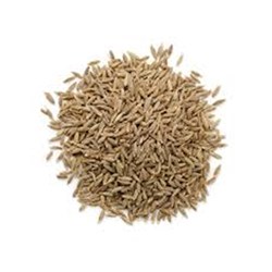 Cumin Seeds 1kg 