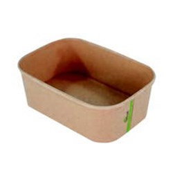 Container Kraft Board Rectangular 1000ml 300/ctn