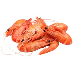 Prawn Whole Cooked King 16/20 5kg 