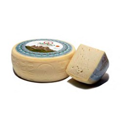 Cheese Asiago Pressato Pdo 14KG R/W 