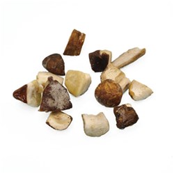 Champi'Gel Iqf Porcini Cubes 1KG 