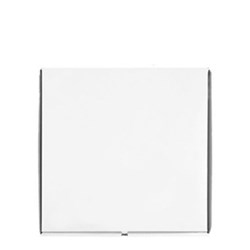 Pizza Boxes White 10 Inch 250G 