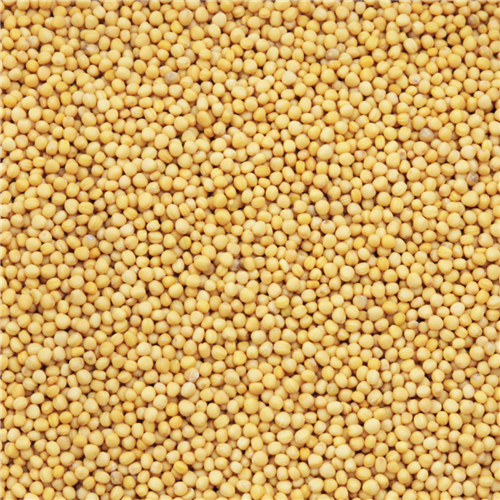 109975