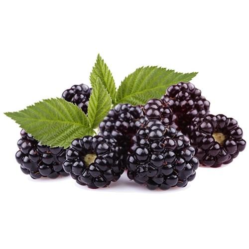 Blackberries 1kg IQF BIL 