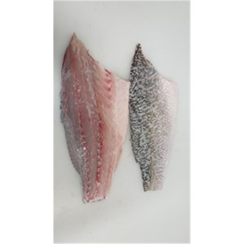 Fresh Barramundi Fillets Skin On 