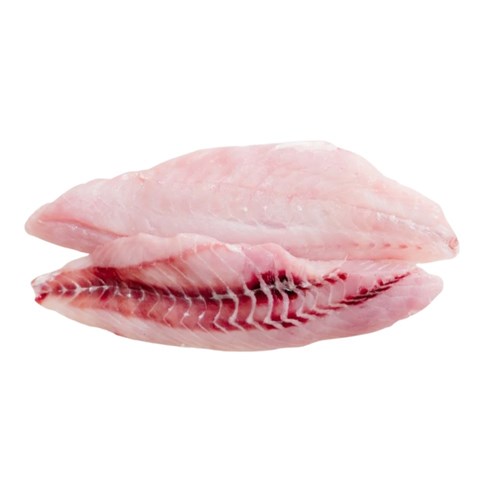 Fresh Saddletail Snapper Fillet Skin Off 