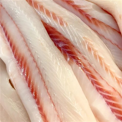 Gummy Shark Fillet 10kg 