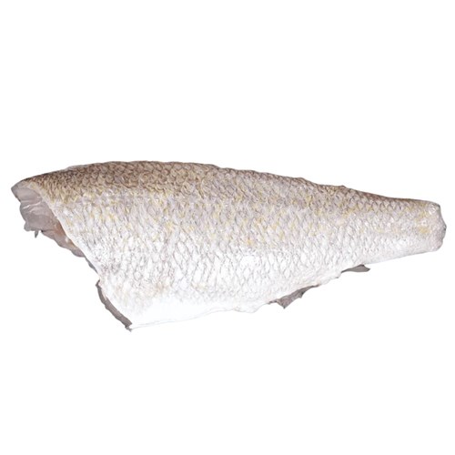 Fresh Goldband Snapper Fillets Skin On 