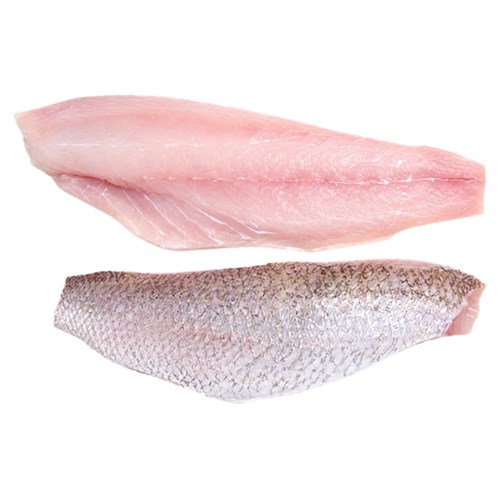 Fresh Golden Snapper Fillets Sk/Off 