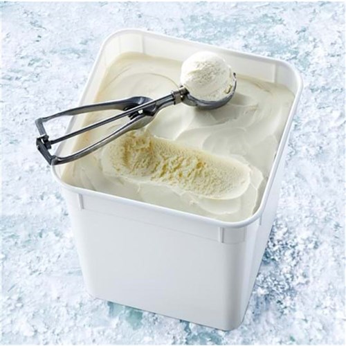 Ice Cream Vanilla 10L 
