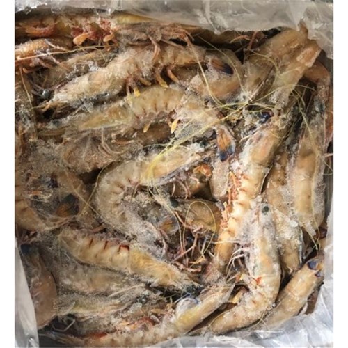 Prawn Whole Raw King U/15 5kg 