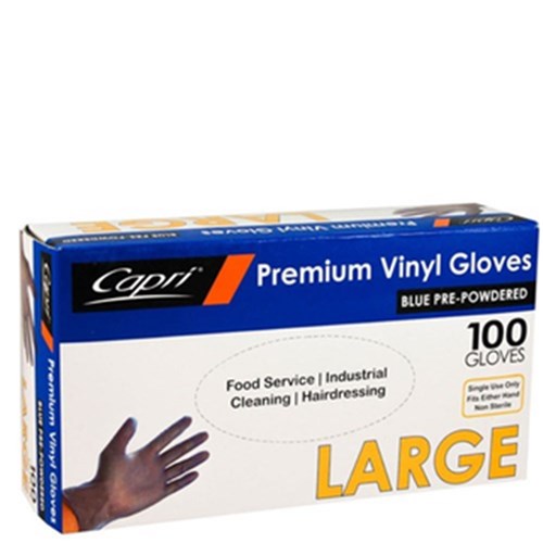 Gloves Large Blue 100/pkt Powdered