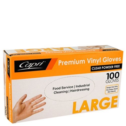 Gloves Large Clear 100/pkt Powder Free
