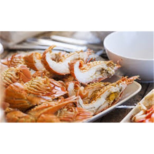 Lobster Slipper Halves 100/150 10kg