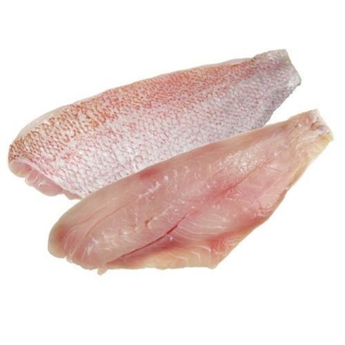 Fresh Saddletail Snapper Fillet Skin On 