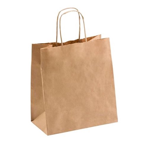 Bag Plain Brown Uber 250/ctn 300x300x170mm