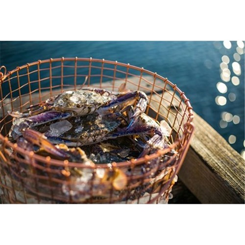Whole Raw Crab Frozen 12kg Blue Swimmer