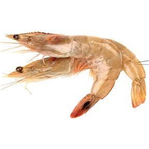 Prawn Whole Cooked King 15/25 5kg 