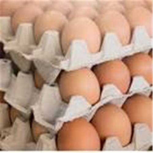 Eggs Fresh 59g 700g 15 Doz  
